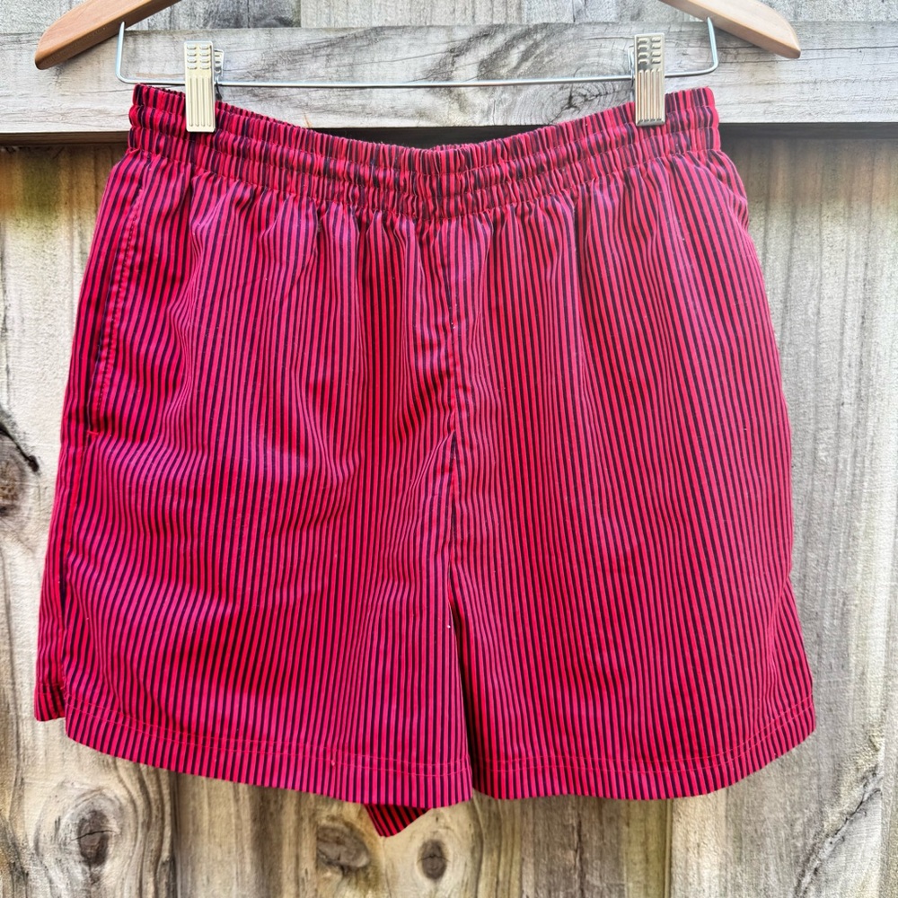 Vintage Skyr Sport Striped Shorts Medium